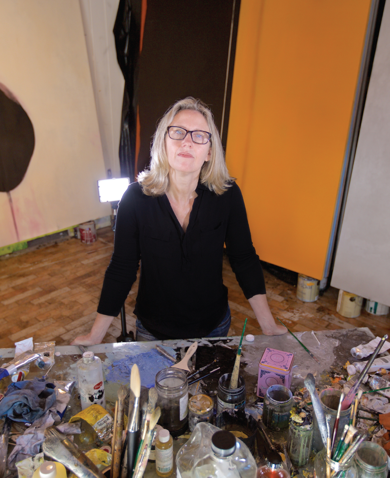 Artist Dana Roes Goes Under the Surface - Gulfshore Life