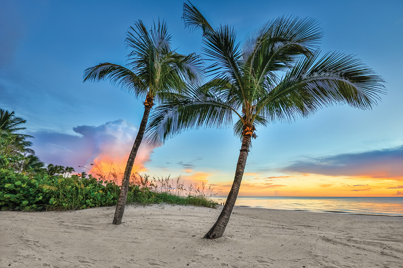 10-best-things-to-do-in-naples-florida