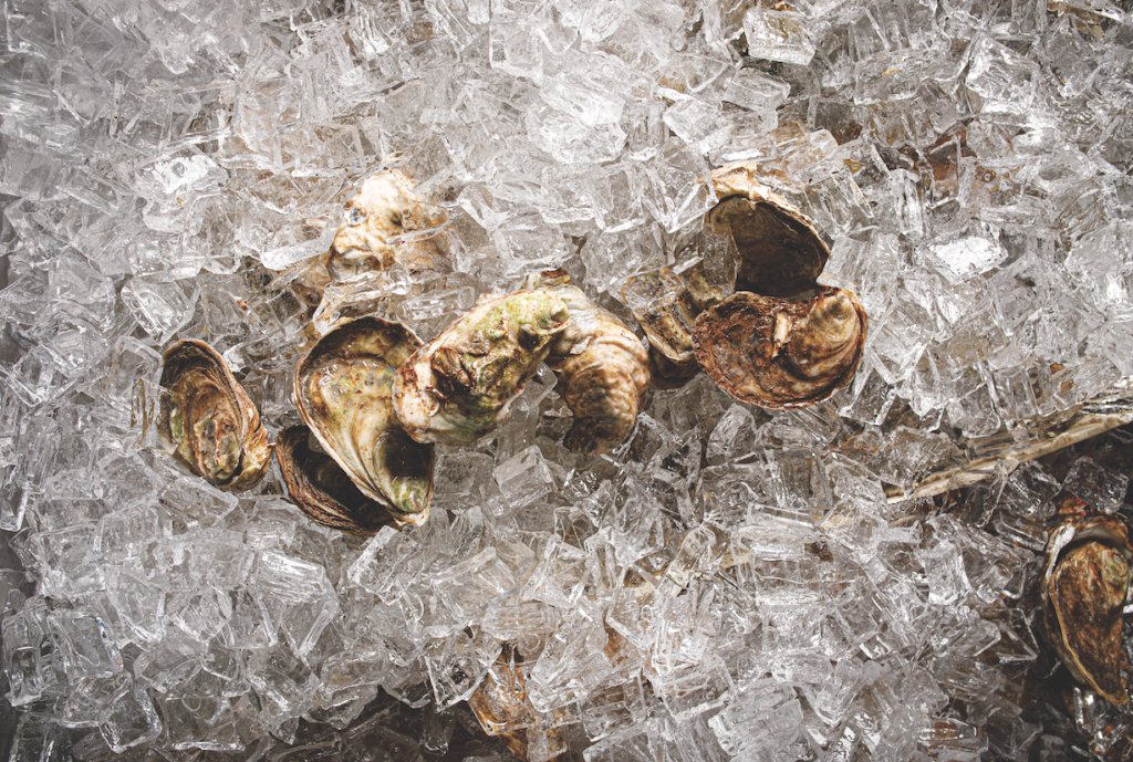 Savage Blonde oysters on ice photo by Brian Tietz