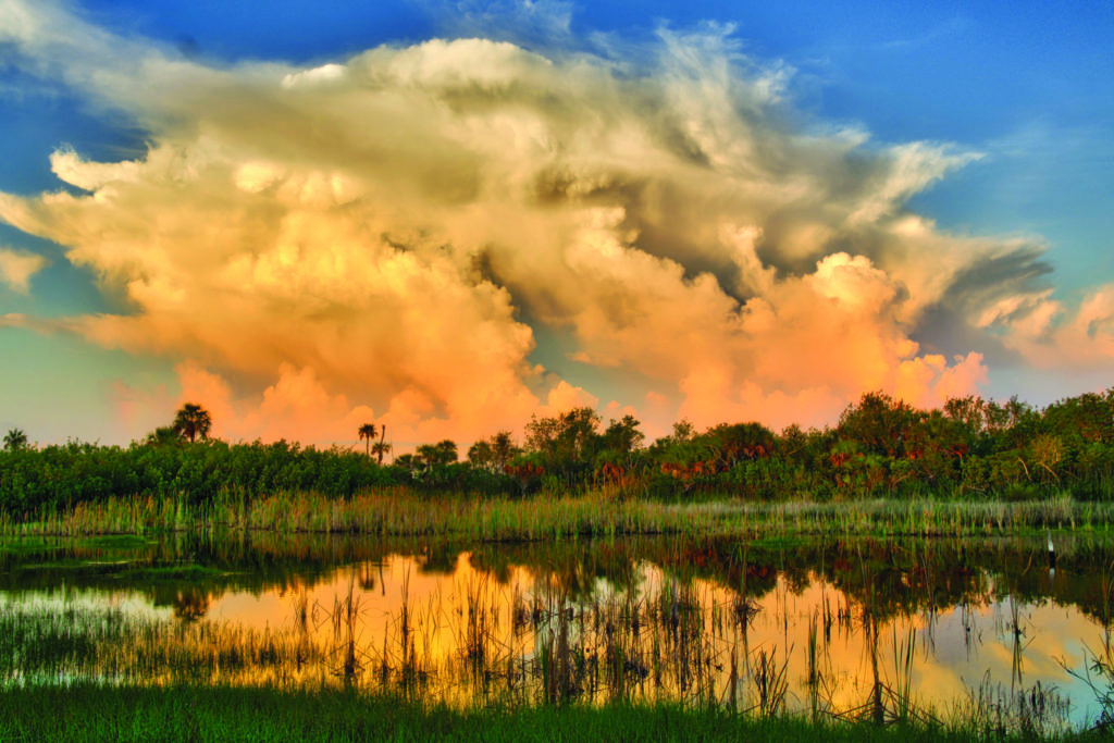 Conservancy of Southwest Florida sunset