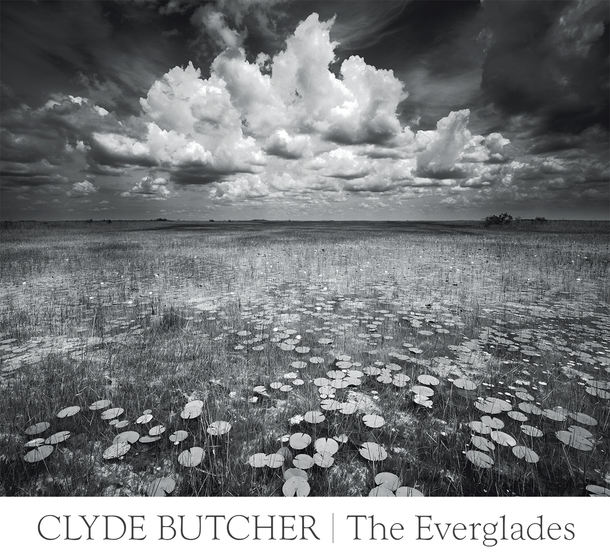 Cover image of Clyde Butchers book The Everglades.