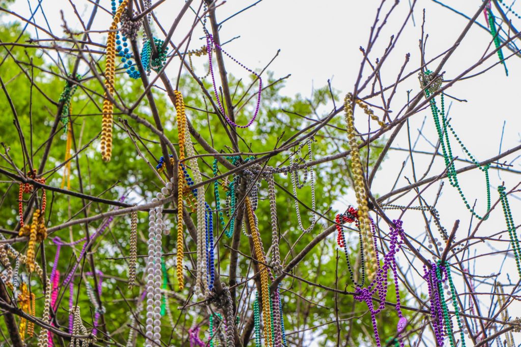 Mardi Gras beads in tree