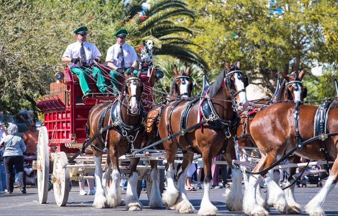 Clydesdales at Miromar Outlets