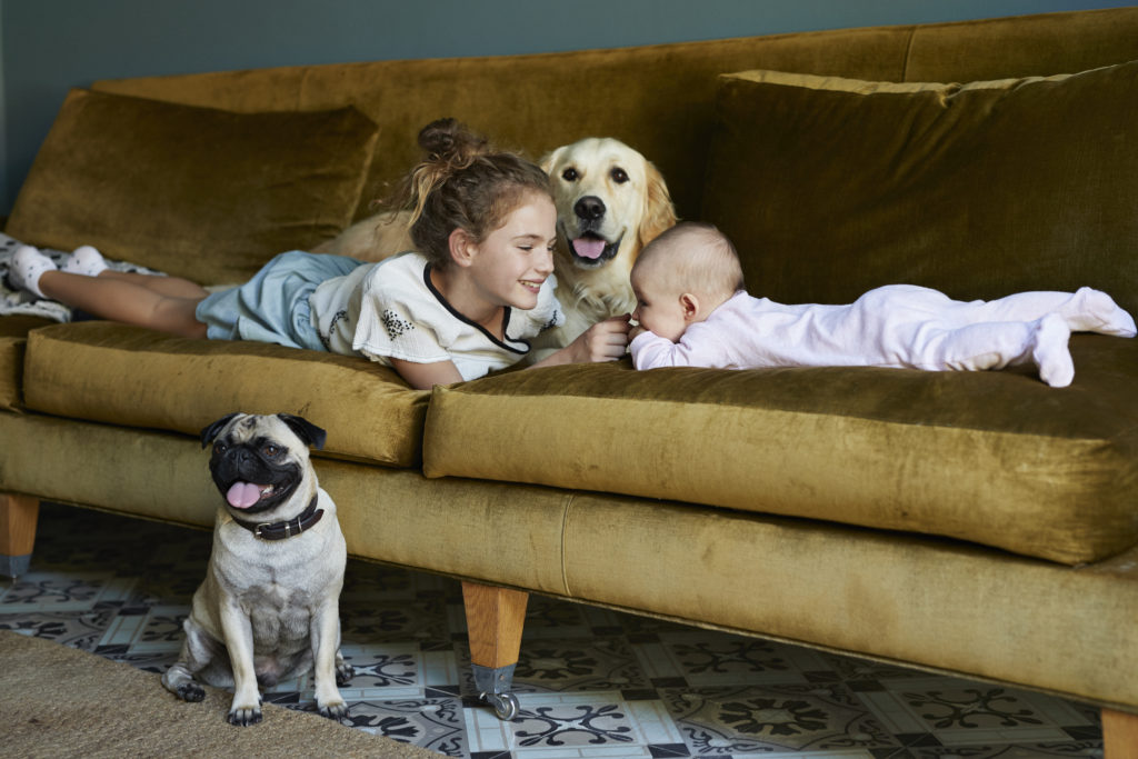 Girl and new born baby lying on sofa with dogs