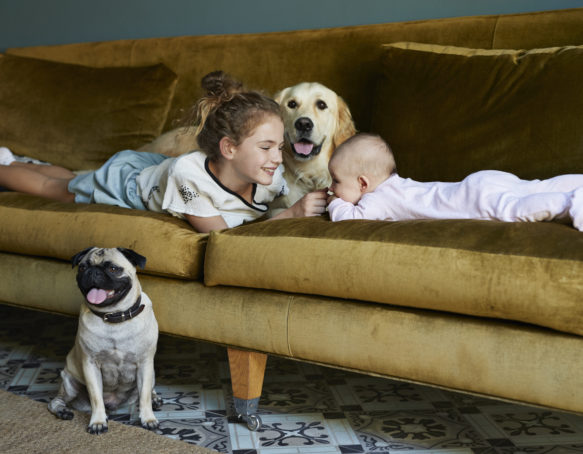 Girl and new born baby lying on sofa with dogs