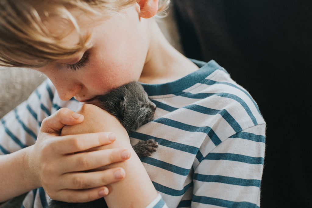 Young boy, gently holding a tiny grey newborn kitten