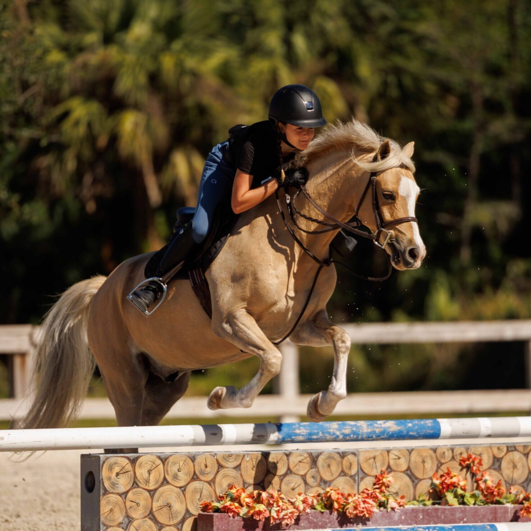A young Naples equestrian rides her way to the top of the sport