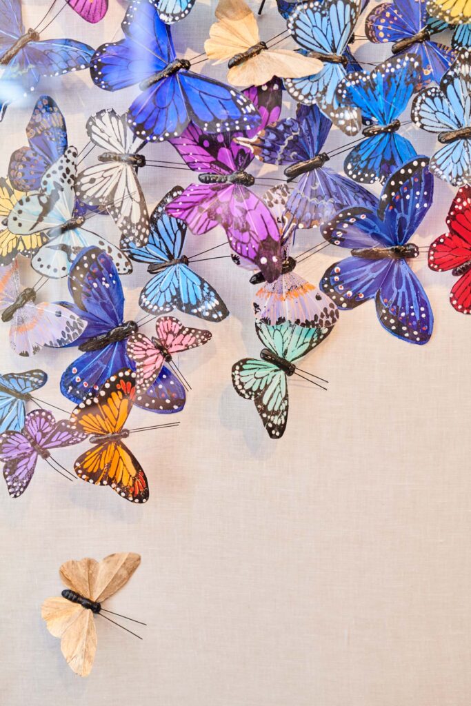 Butterfly assemblage