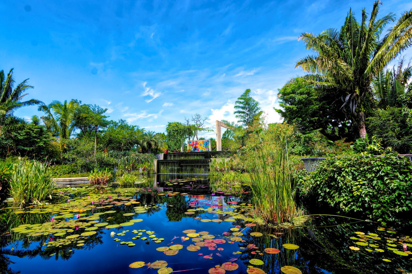 Kapnick Brazilian Garden at Naples Botanical Garden