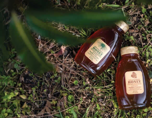 Walker Farms Honey / Local Honey