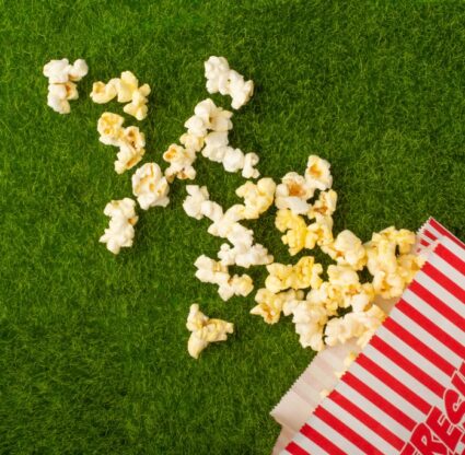 popcorn on the lawn