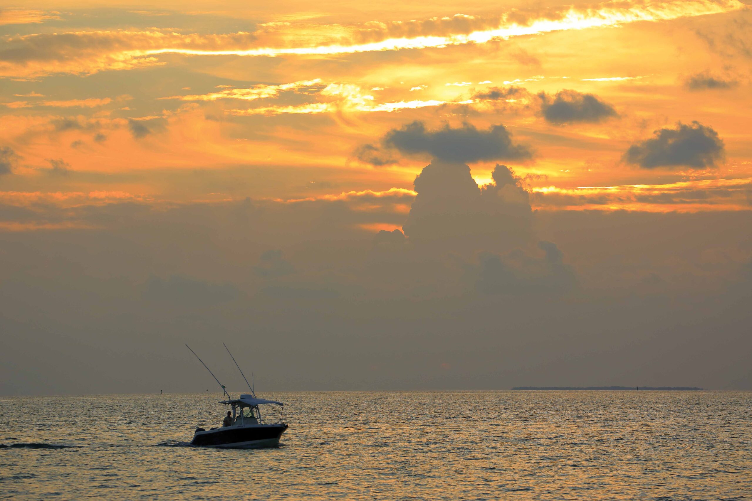 Red Drum Fish Culinary Profile - Chefs Resources